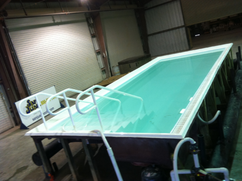 Orlando fiberglass pool