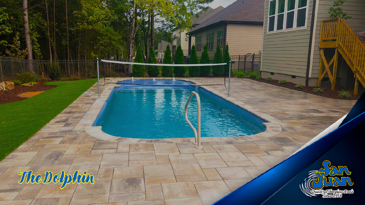 Dolphin pool photo