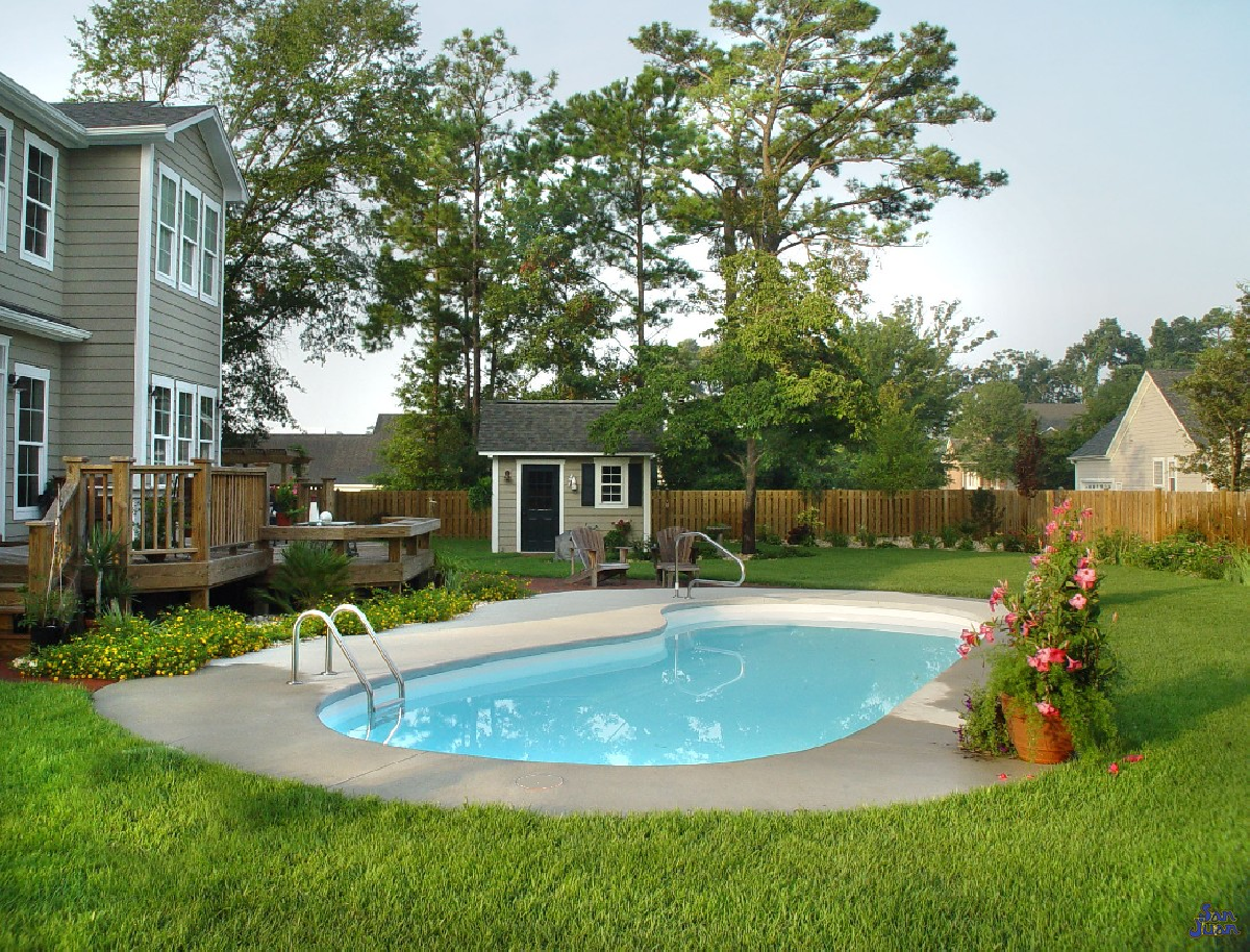 Manatee pool photo
