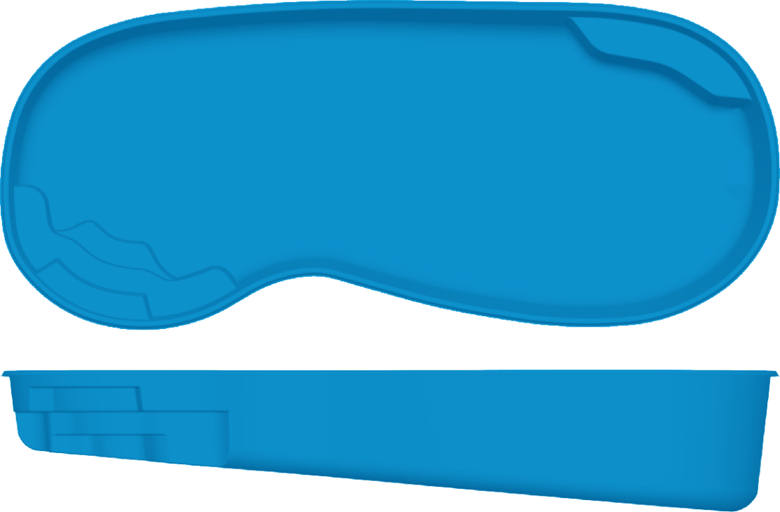 Manatee top and side view